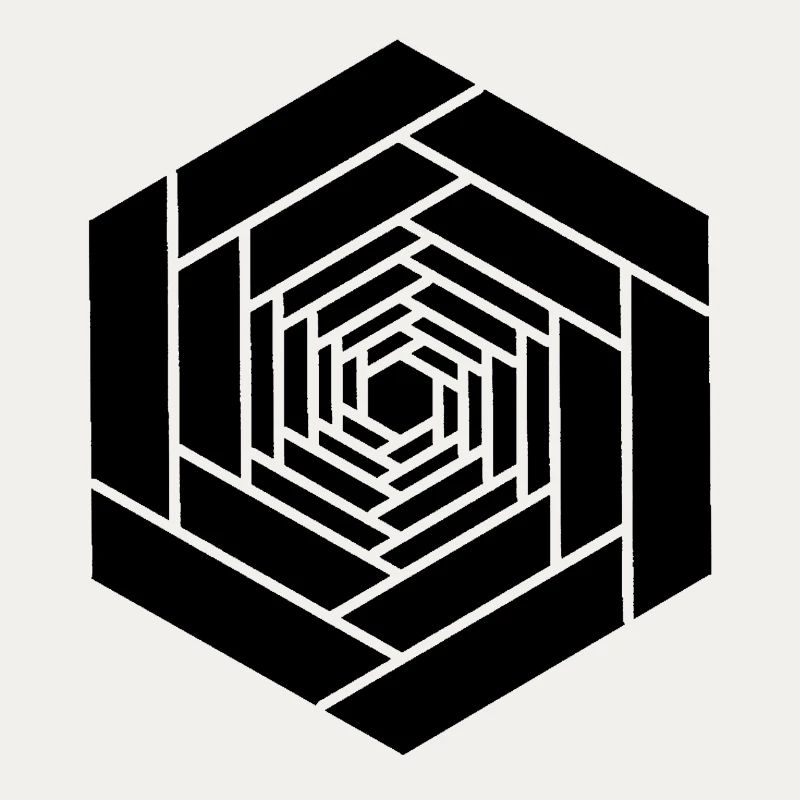 Hexagone infini noir fleur