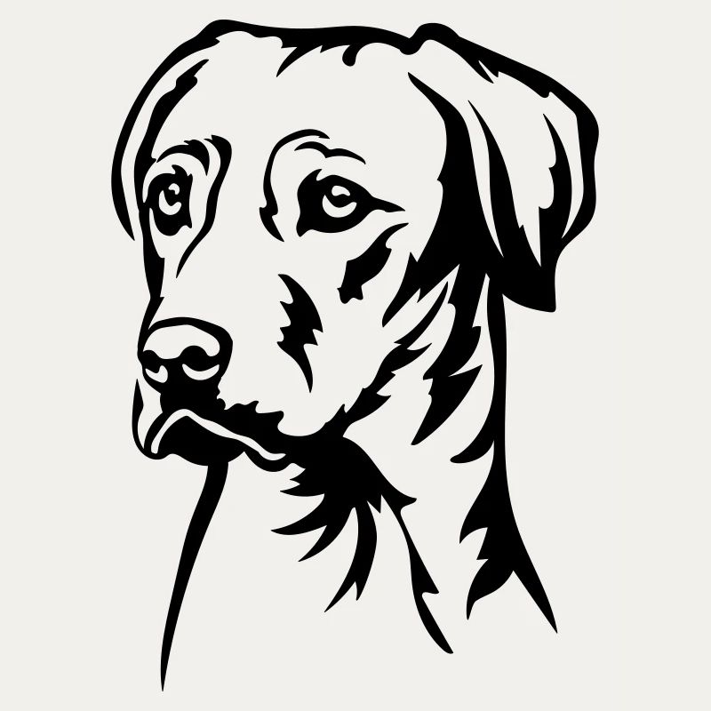 Rhodesian Ridgeback Kopf