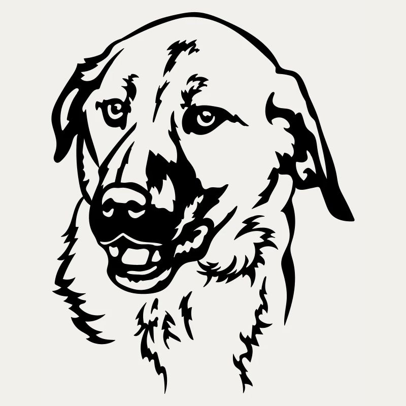 Tête de Kangal