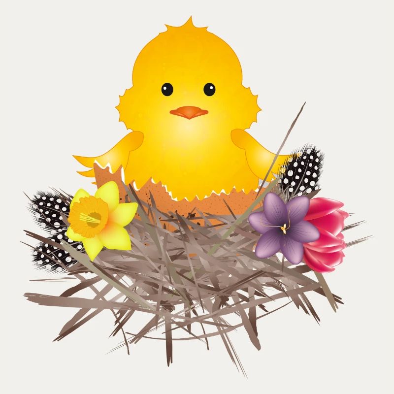 newly hatched chick in eggshell in nest