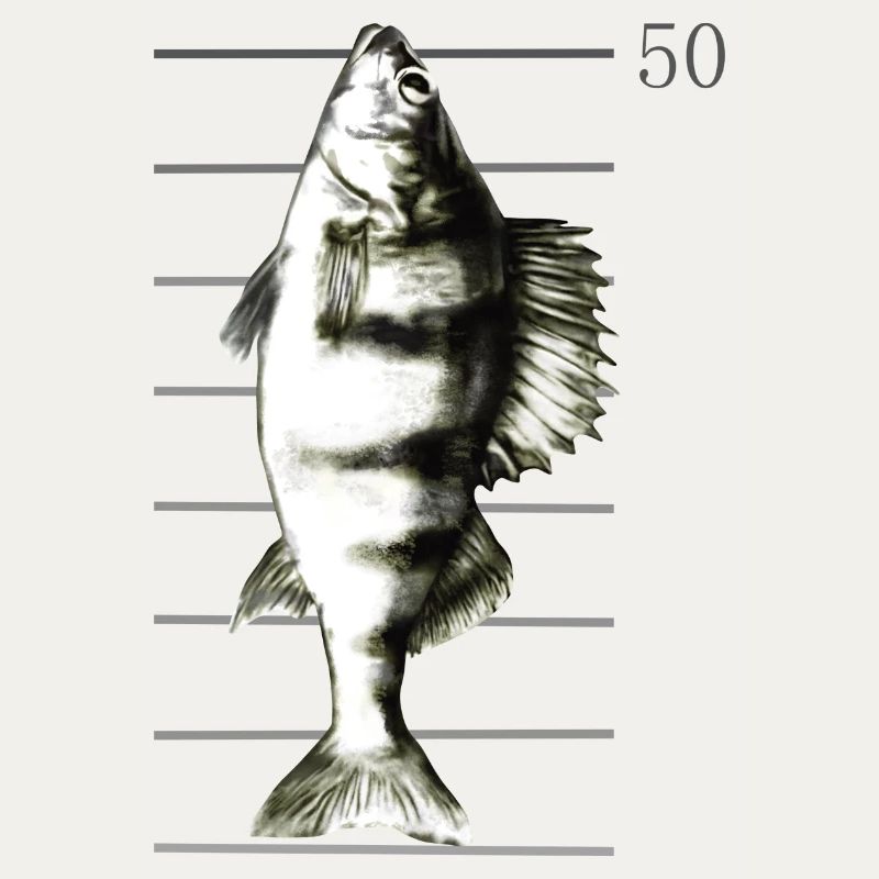 Pêche à la perche