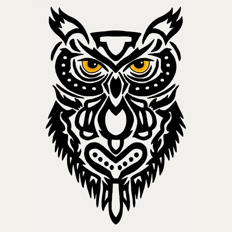 Der Blick der schwarzen Eule