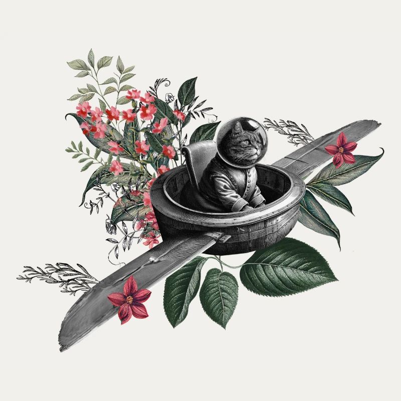 Die fliegende Katze