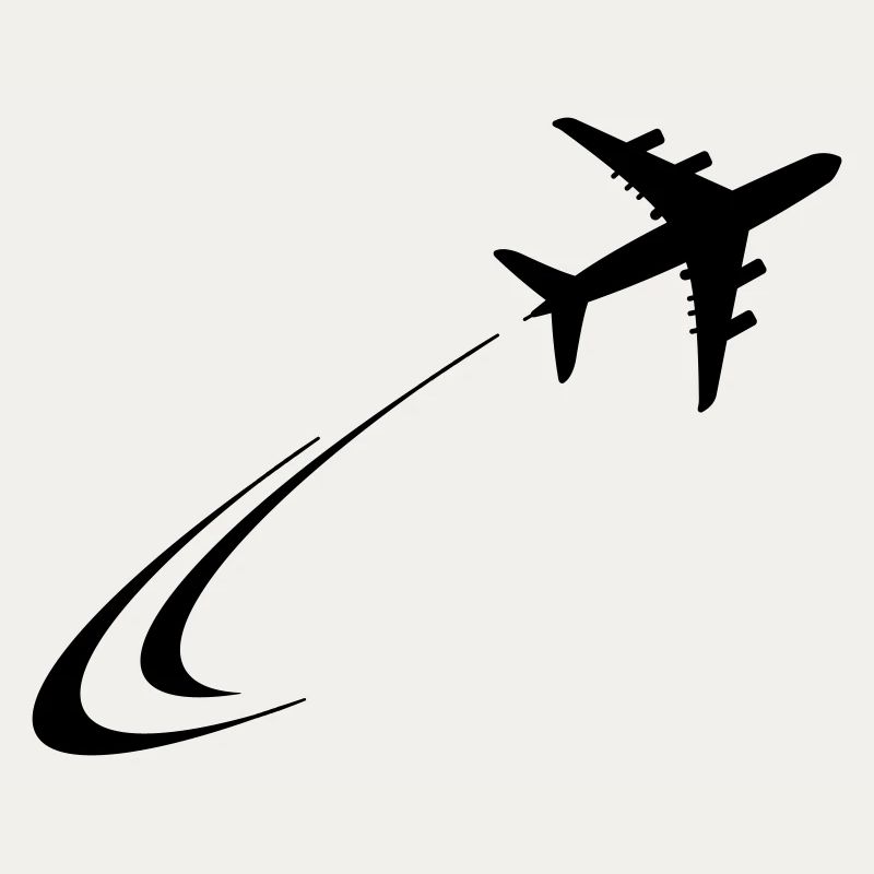 Plane flies away