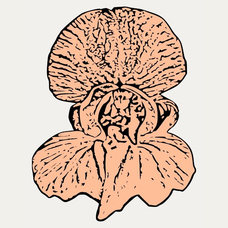 Muttertags Geschenk Mutter Muttertag Geschenkidee 