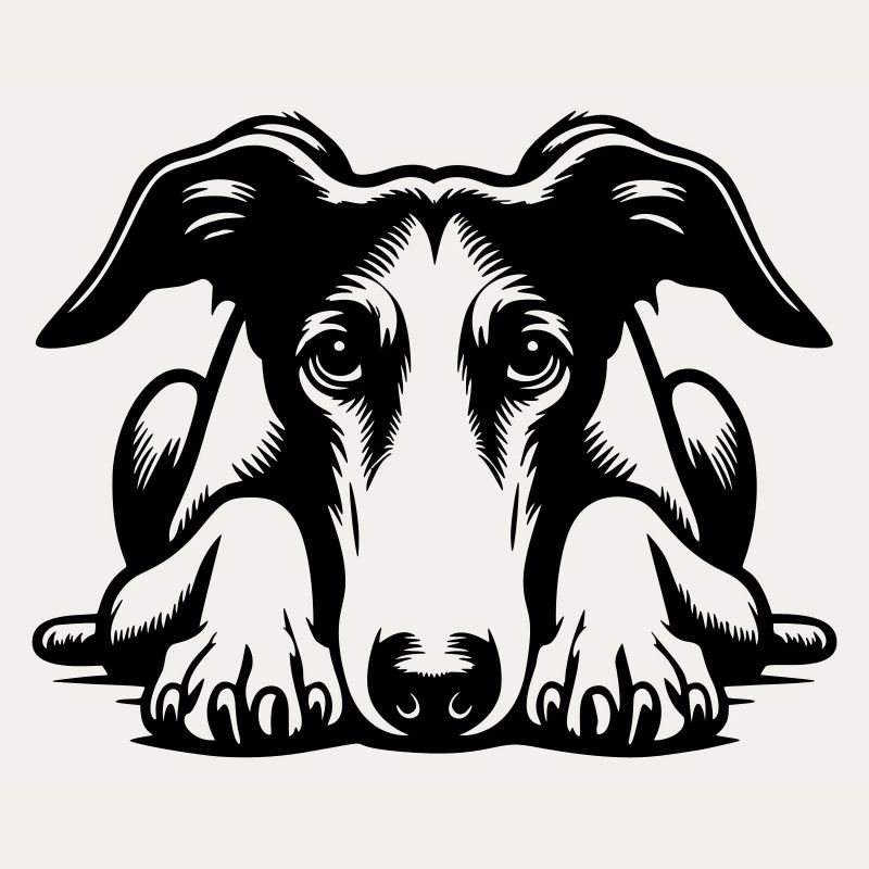 Galgo Kopf mit Pfoten