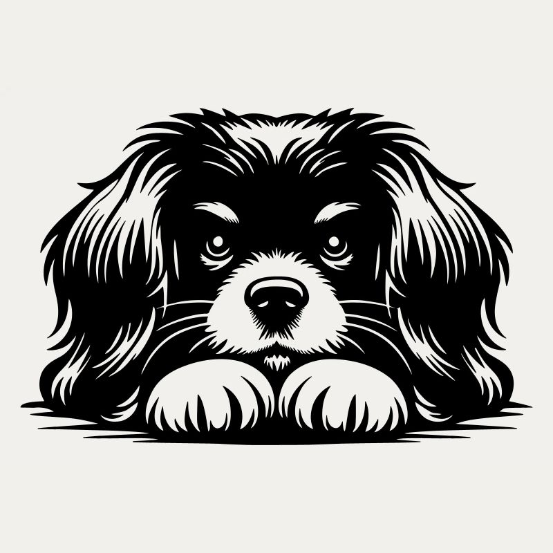 Tibet Spaniel Kopf mit Pfoten