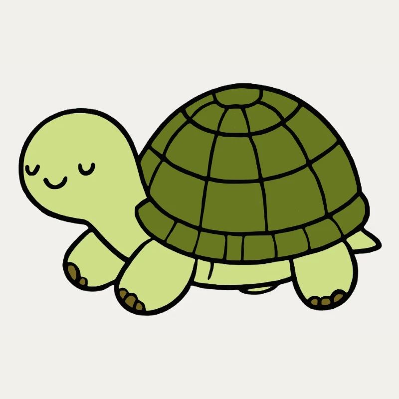 Schildkröte