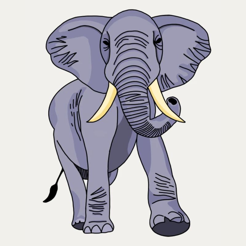 Éléphant