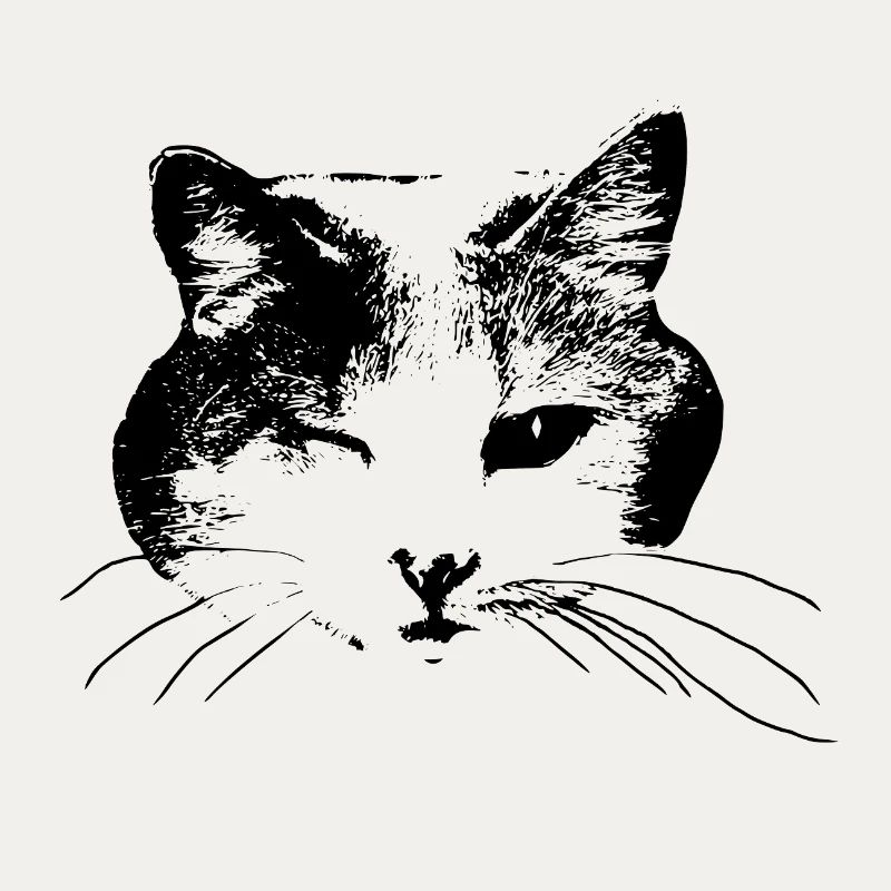 Kitty wink