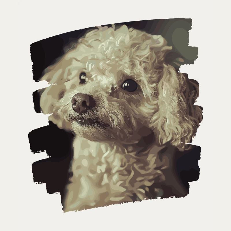 Poodle