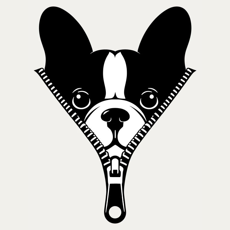 Bouledogue Français dans une fermeture éclair