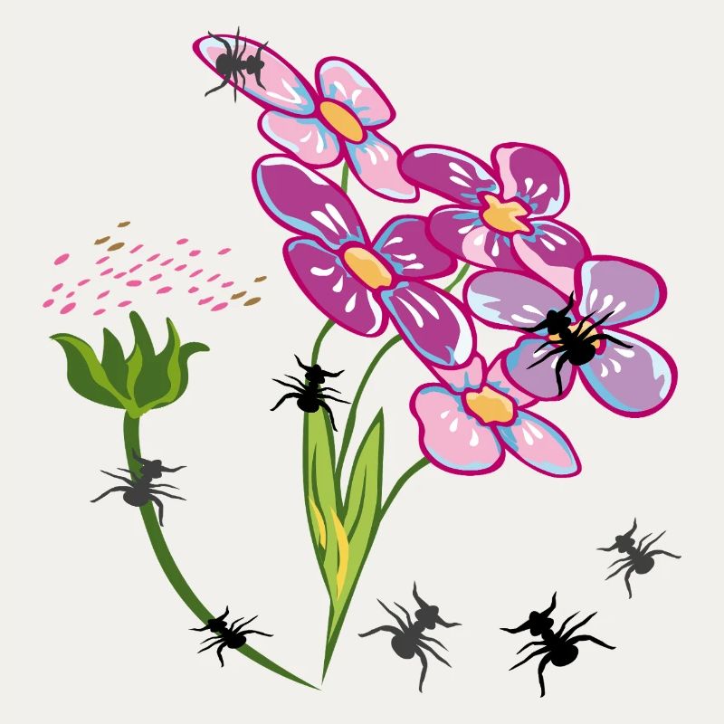 Fleurs avec des fourmis insectes