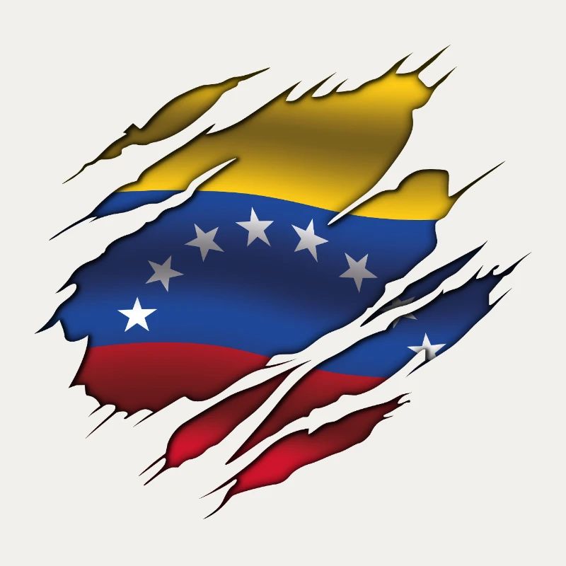 Drapeau du Venezuela - Venezuela - Drapeau déchiré