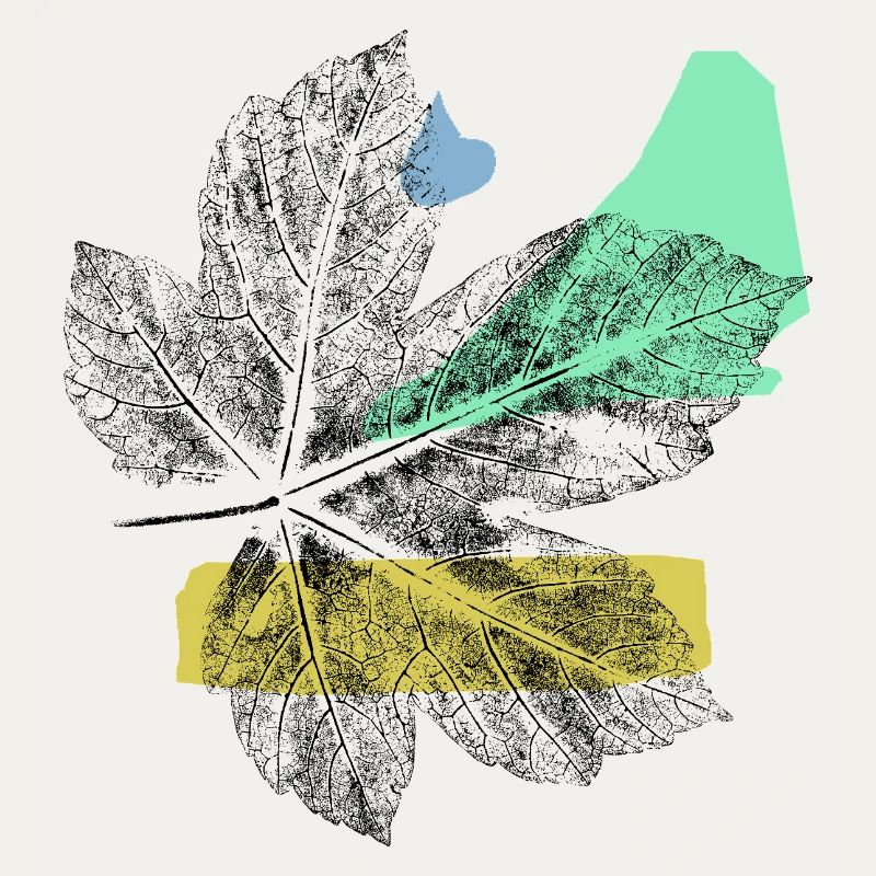 Leaf Maple - Abstrake Art