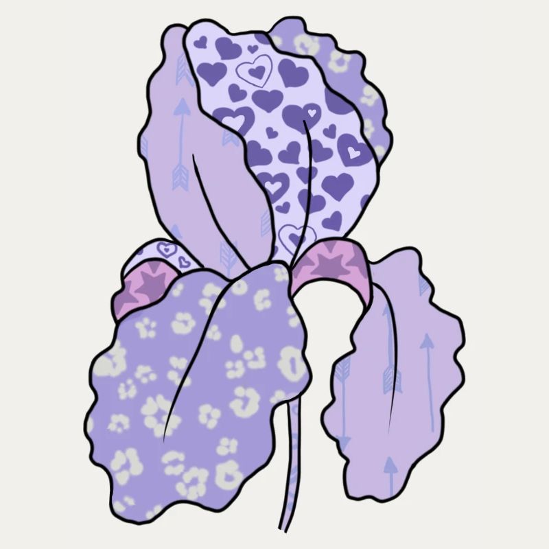 Bunte_Iris