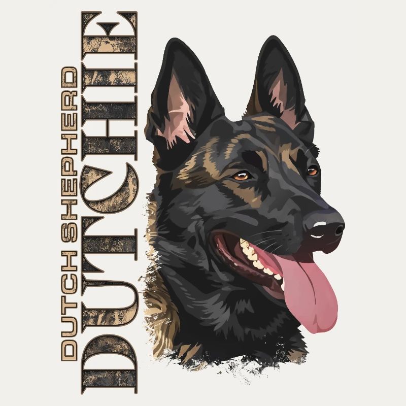 Dutchie - Holländischer Schäferhund