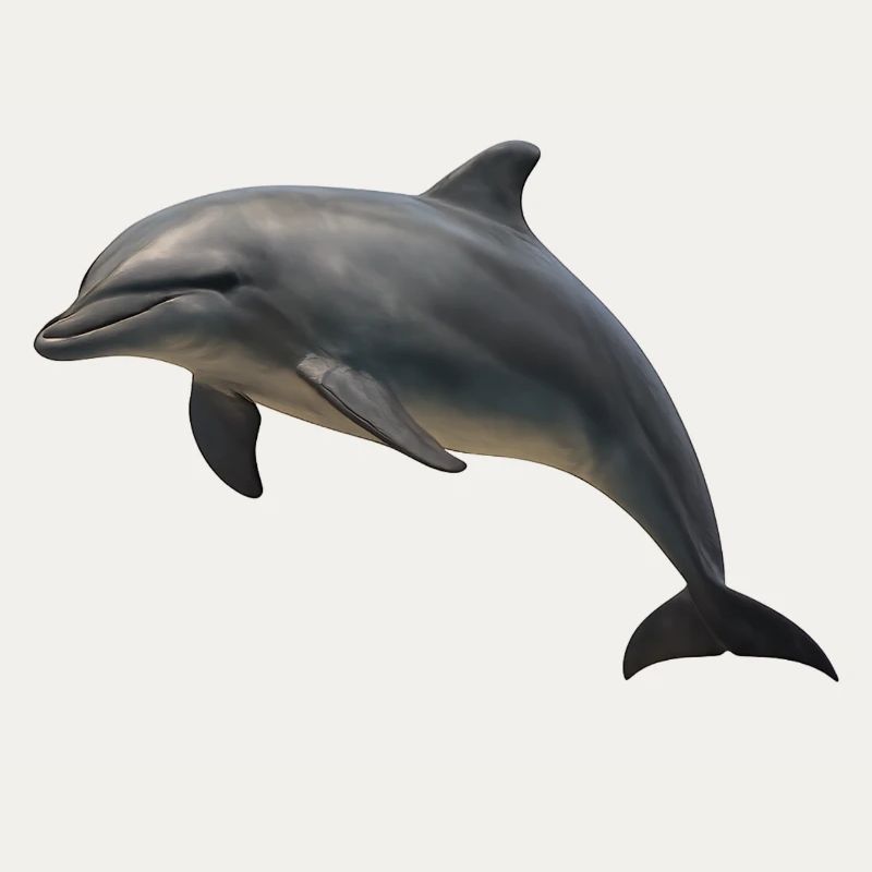 Dolphin in soft shades