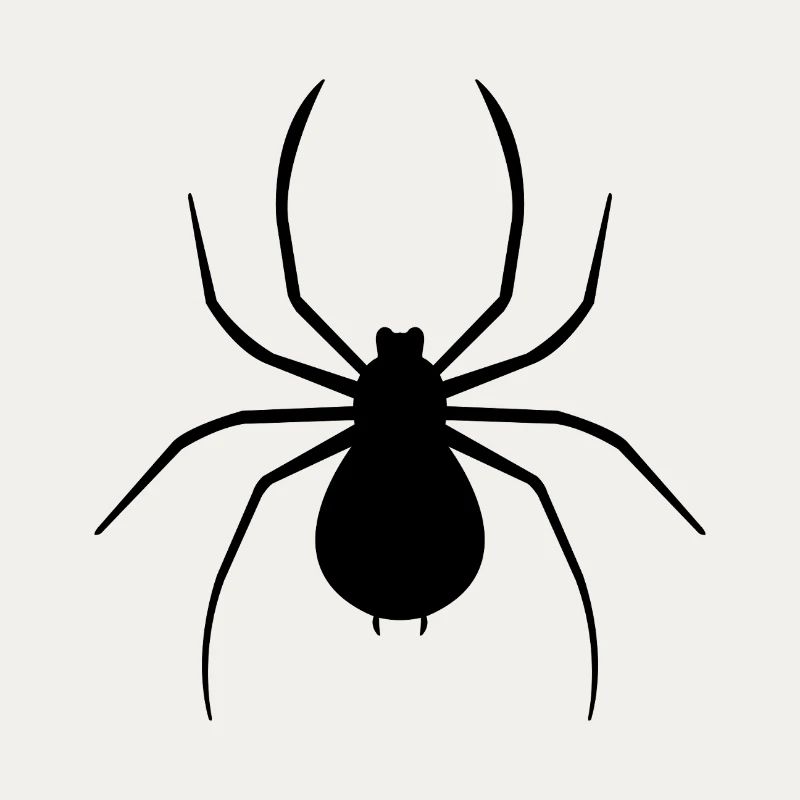 Spinne
