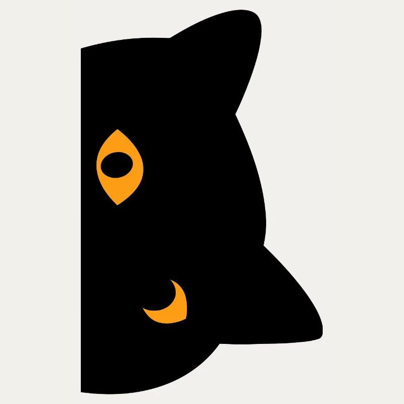 black cat