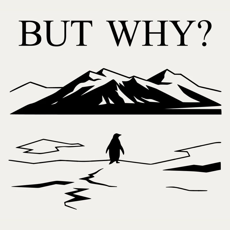 But Why Penguin Meme Minimalist Art