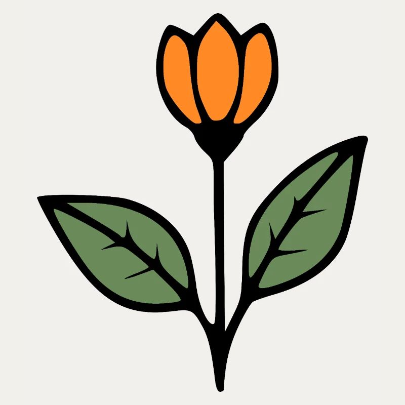  Blume Tulpe Blumen Blüte Geschenkidee Mutter 