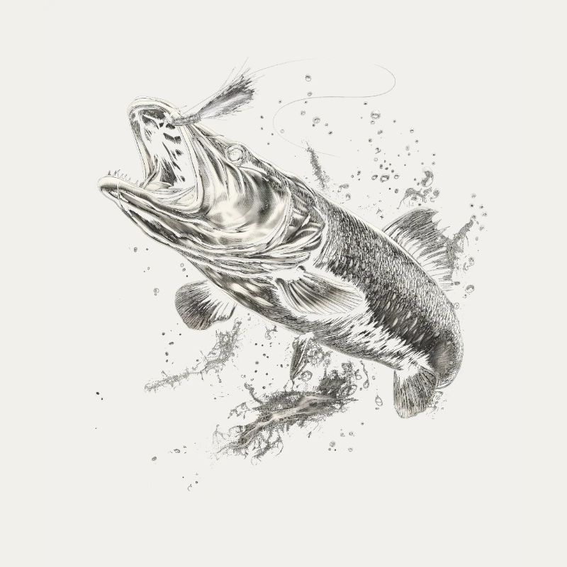 Hecht Angler