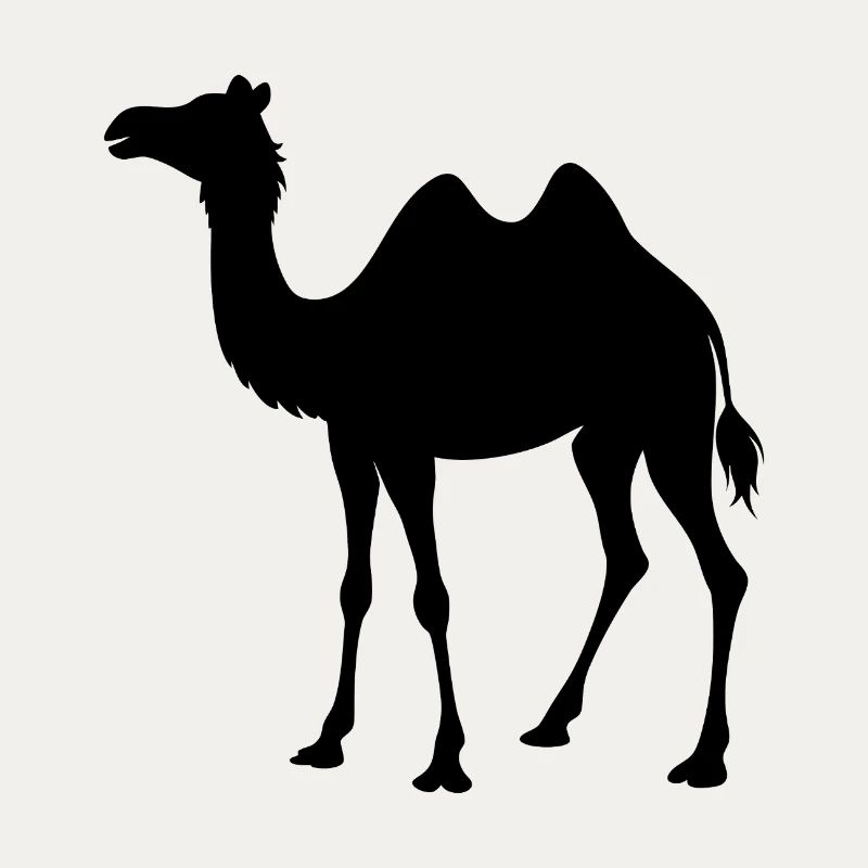 Kamel
