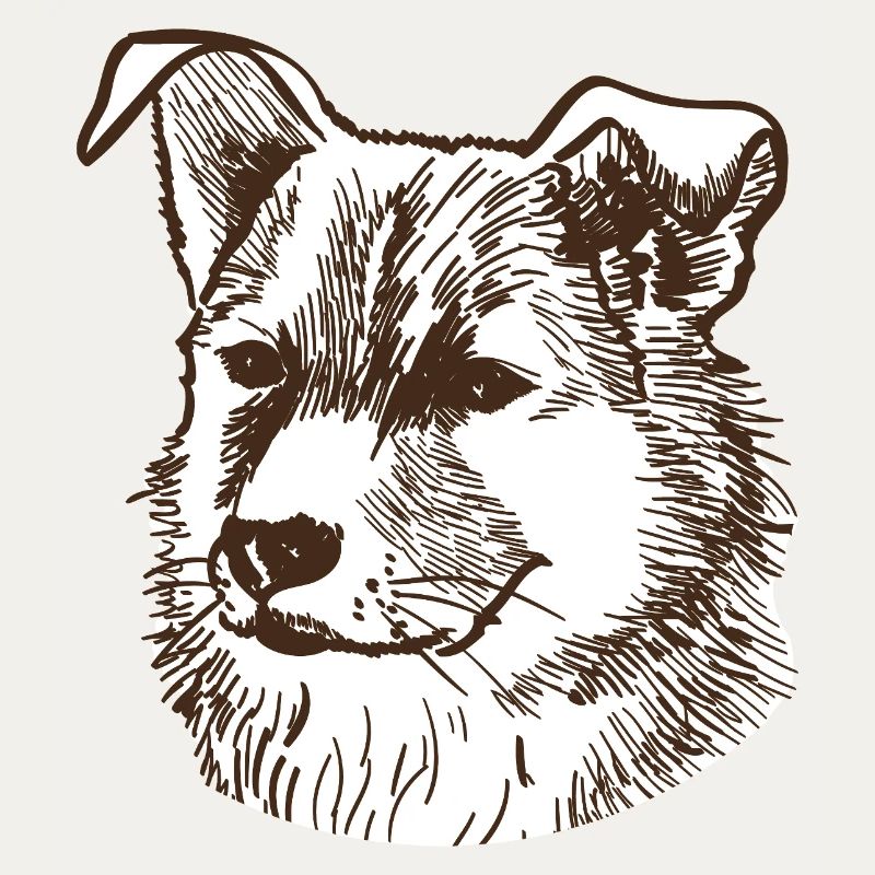 Hund