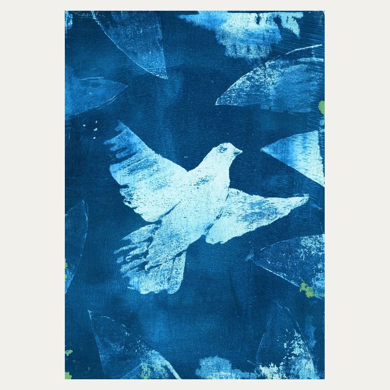 Blau Taube Friedensvisual