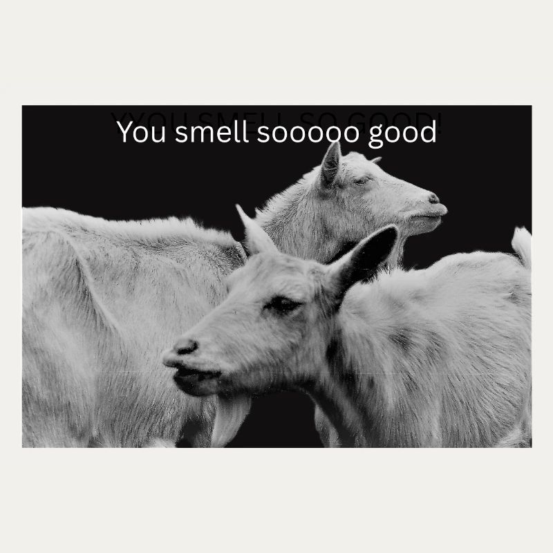 You smell so good