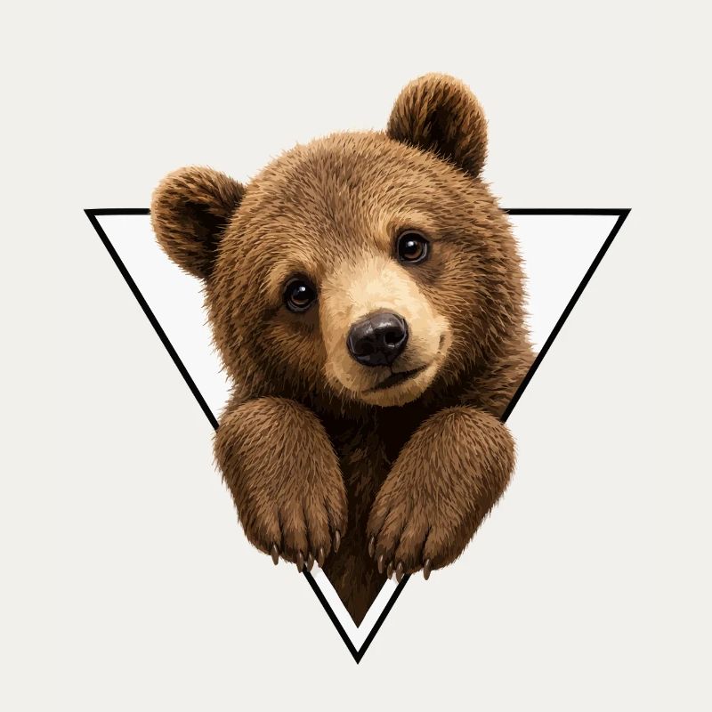 Bear cub in triangle