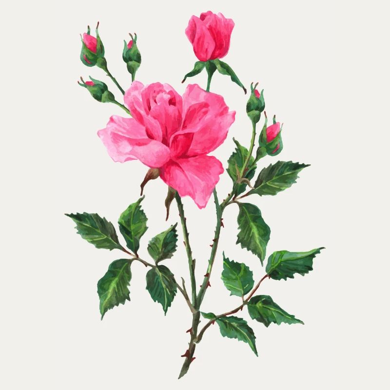 Fleur