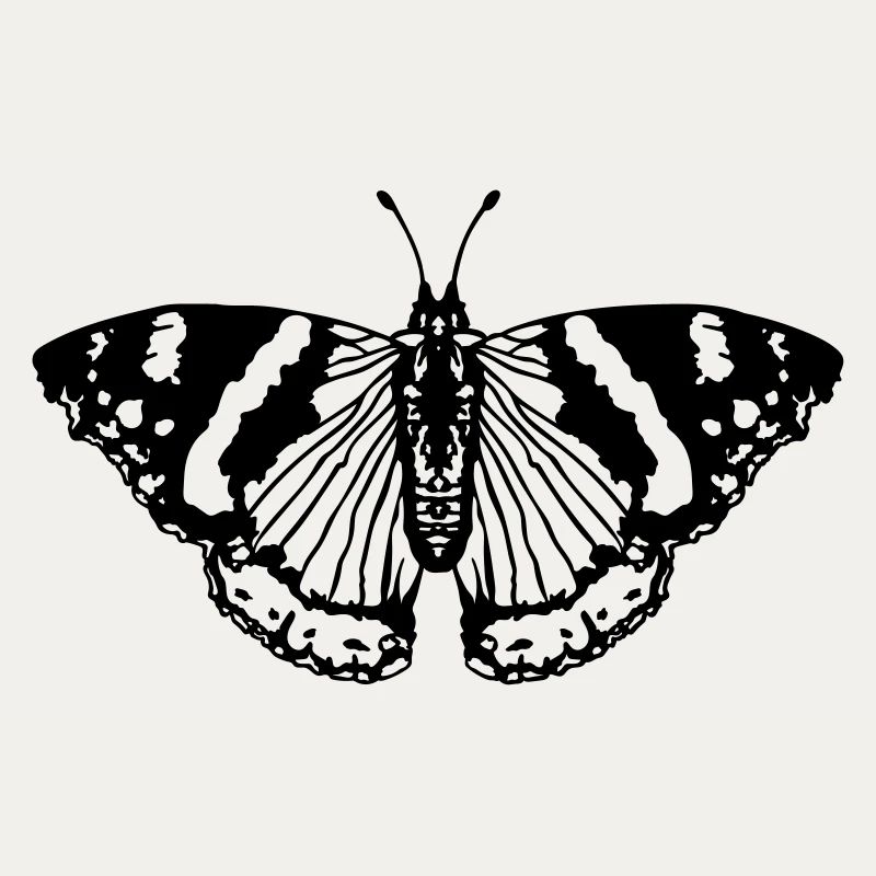 Schmetterling butterfly