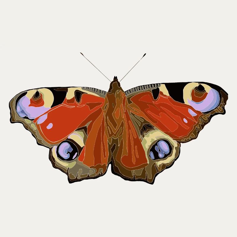 Papillon