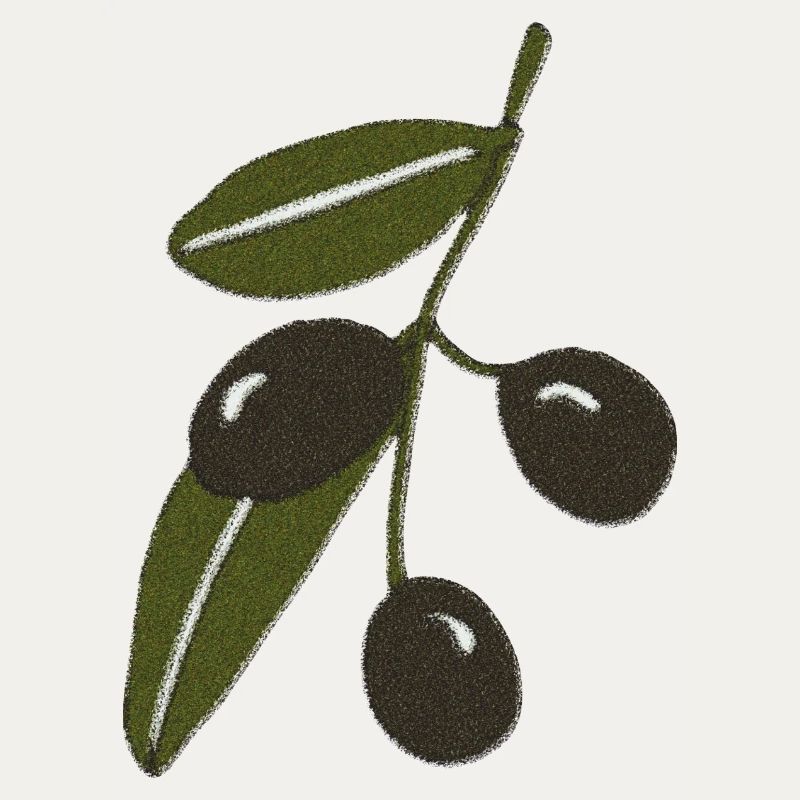 Olive Branch Impressionism
