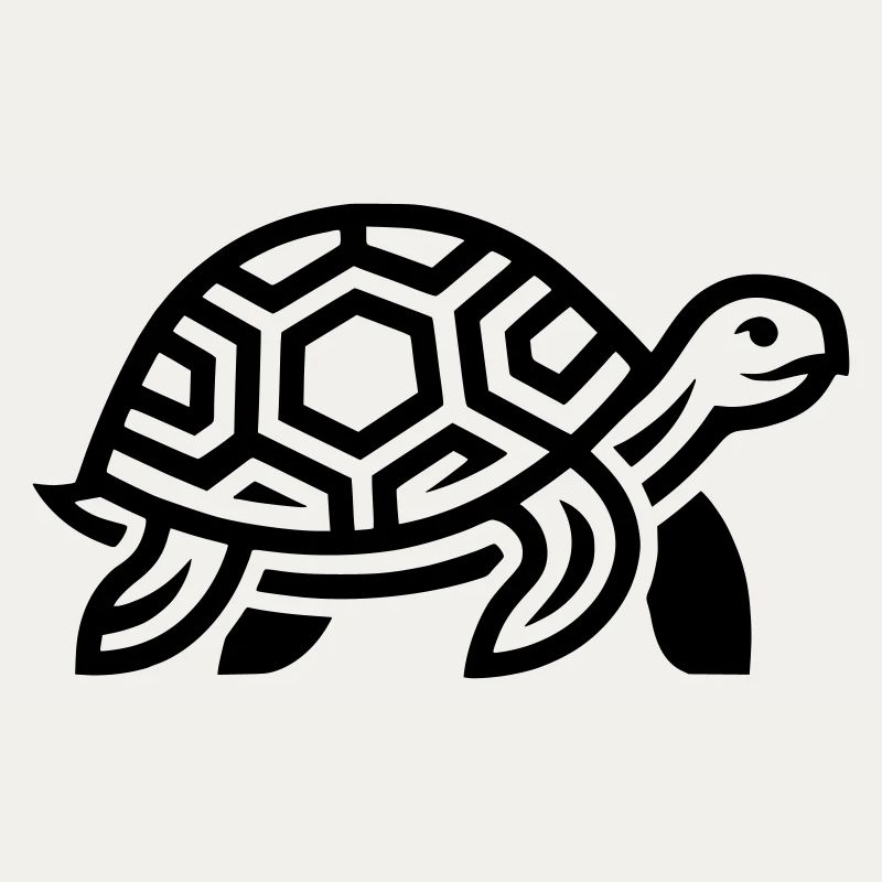 tortue