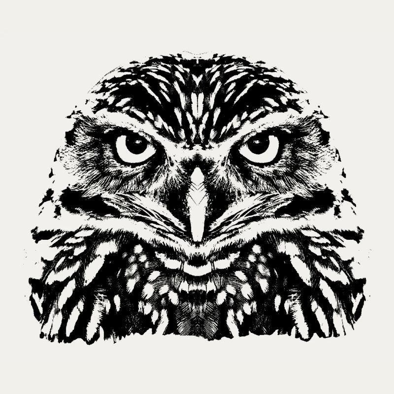 Die Eule / Le Hibou