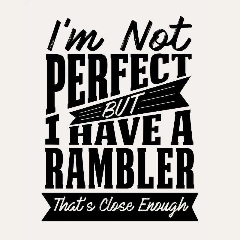 PERFECT WITH RAMBLER CAR