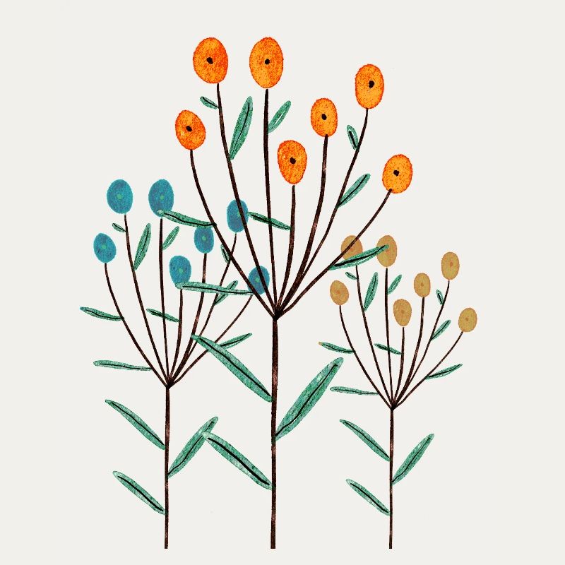 Plants