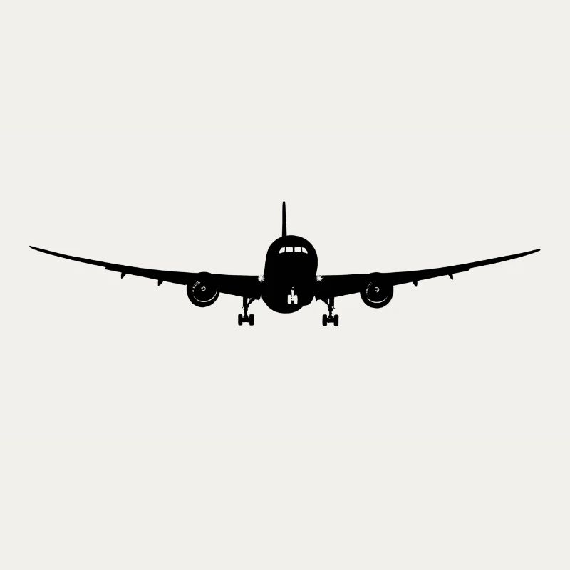 Passagierflugzeug