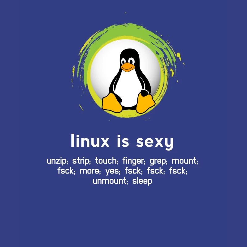 Computer System Pinguin Nerd pc inside code admin