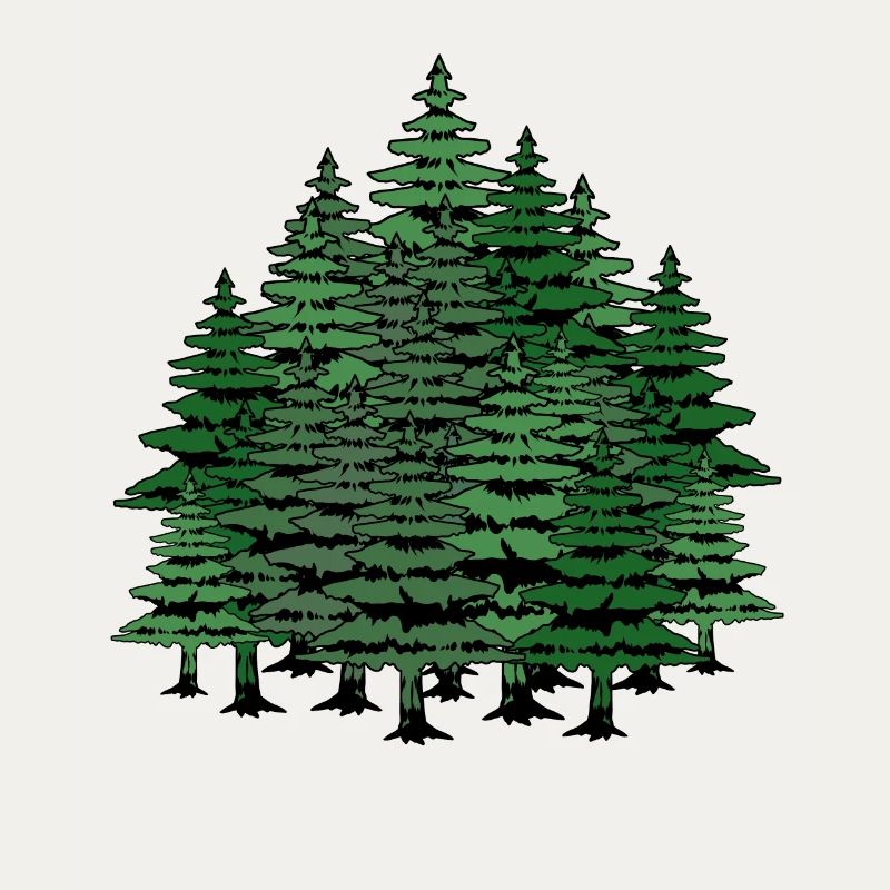Fir trees forest wilderness nature climate