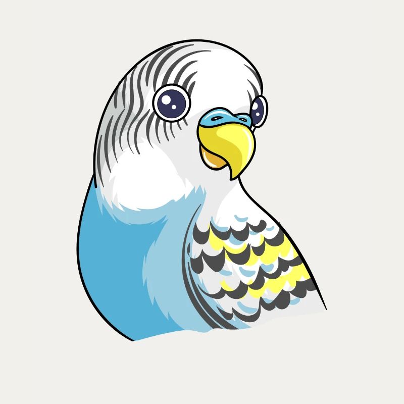 Belle conception de perruche bleue