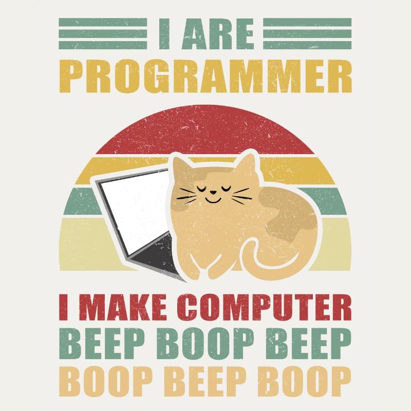 Programmeurs Don Admin Informatique Informaticien