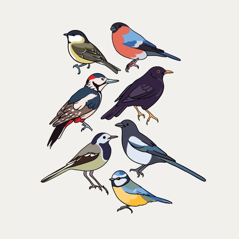 Oiseaux de jardin Oiseaux