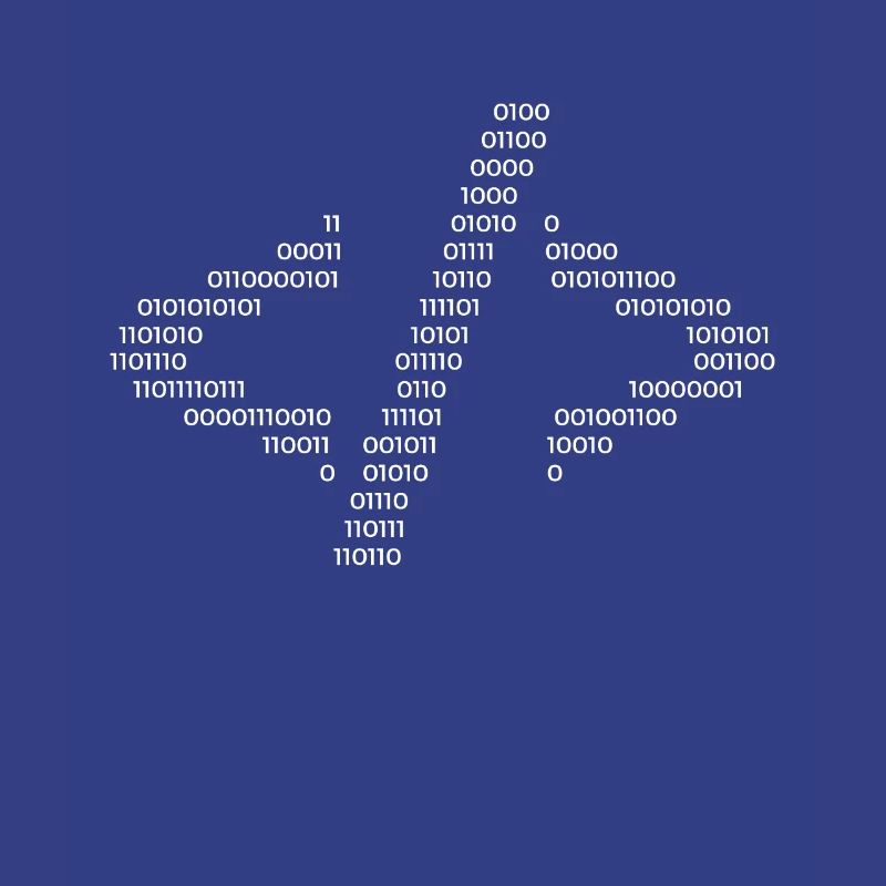 Hacker Code Informatique Java Rengaine Cadeau