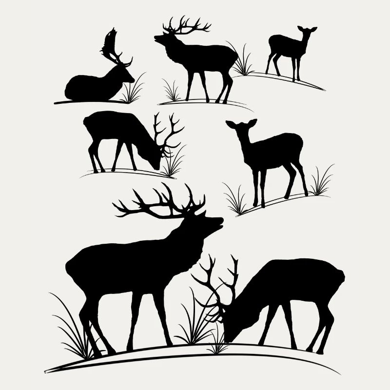 Deer, roe deer, red deer, fallow deer, deer, roe deer