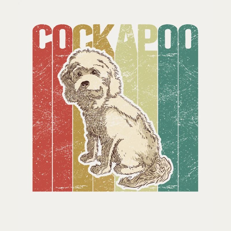 Cockapoo Hunde | Cockerpoo Spoodle Geschenk