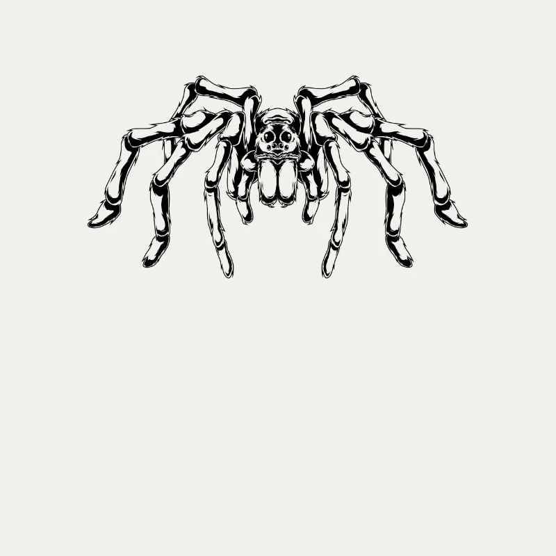 Spider lovers - big spider